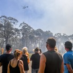 Wielki pożar buszu w Australii. Przedmieścia Sydney były zagrożone