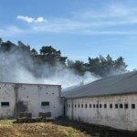 trzoda chlewna Wielki pożar chlewni. Wiele macior i prosiąt zginęło