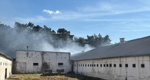 ​Wielki pożar chlewni. Wiele macior i prosiąt zginęło