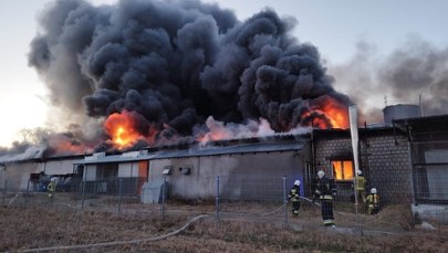 Wielki pożar koło Białej Podlaskiej. Płonęła fabryka zniczy