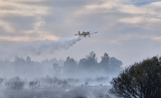 Wielki pożar w starorzeczu Sanu. W akcji 100 strażaków i samolot