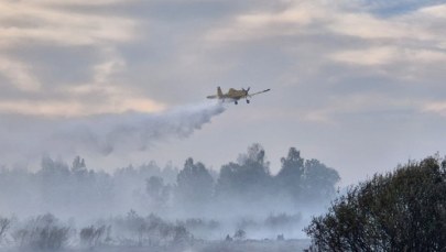 Wielki pożar w starorzeczu Sanu. W akcji 100 strażaków i samolot