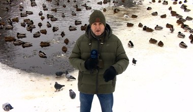 Wielki problem dla polskich ptaków. Najbardziej nasila się zimą