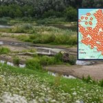 Wielki problem z wodą w całej Polsce. Aż 625 gmin ogłosiło alarm