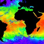 Wielki quiz klimatyczny. Sprawdź, ile wiesz o Ziemi