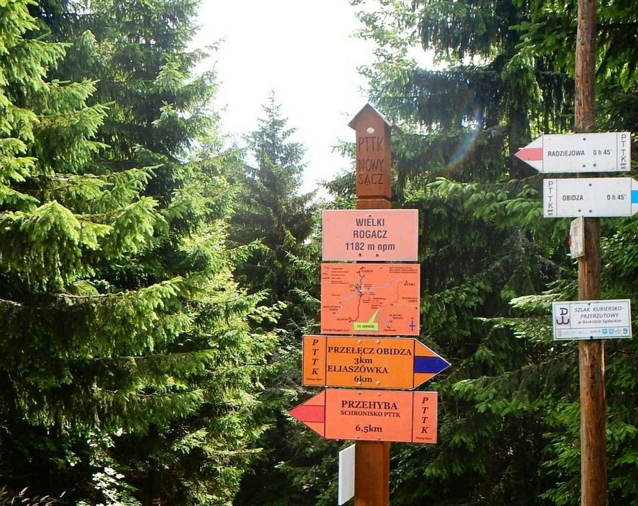 Wielki Rogacz /Tomasz Weryński /RMF FM