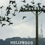 Wielki strajk w Hollywood!