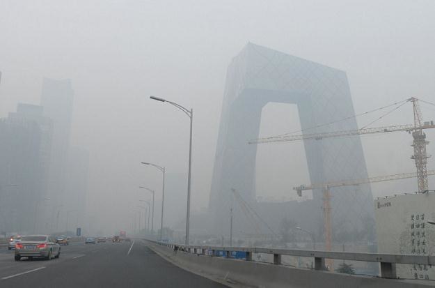 "Wielkie bokserki" w pekińskim smogu /AFP