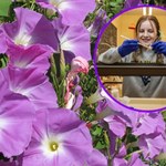 Wielkie odkrycie studentki z USA. Nowy gatunek magicznych grzybków