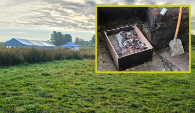 Wielkie odkrycie w Niemczech. Natrafili na ślady pradawnego rytuału