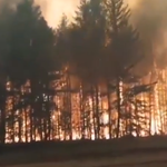Wielkie pożary lasów na Syberii. Z ogniem walczą tysiące strażaków