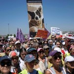 Wielkie protesty w Turcji. Władze chcą wydać wyrok na miliony psów