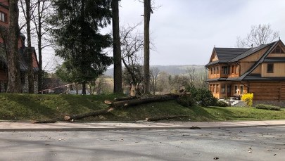 Wielkie sprzątanie po halnym. TPN apeluje o ostrożność