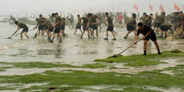 Wielkie sprzątanie w Qingdao /AFP