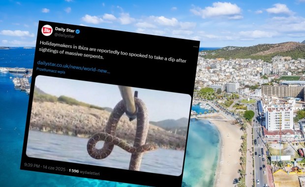 Wielkie węże w morzu. Turyści przerażeni, boją się kąpać