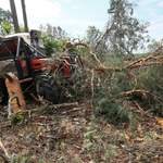 Wielkopolska: Drzewo przygniotło mężczyznę w lesie