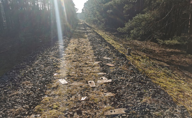 Wielkopolska: Nieznani sprawcy skradli prawie pół kilometra torów 