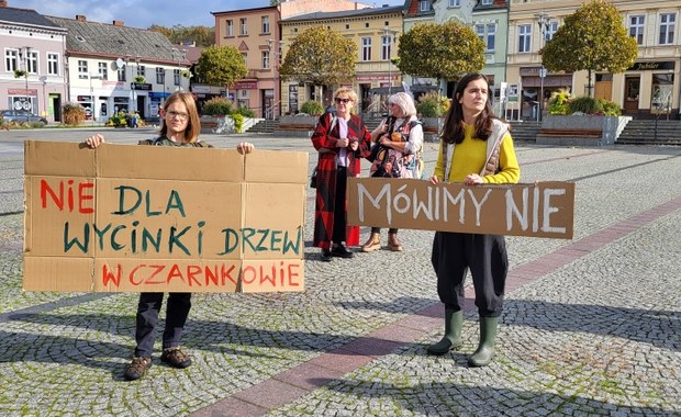 Wielkopolska: Protest przeciwko wycince drzew 