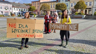 Wielkopolska: Protest przeciwko wycince drzew 