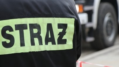 Wielkopolska: Sześć osób, w tym czworo dzieci rannych w wypadku