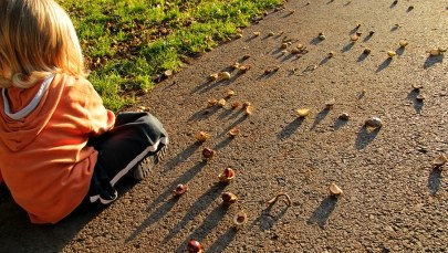 Wielkopolska: Trzylatek błąkał się po ruchliwej drodze