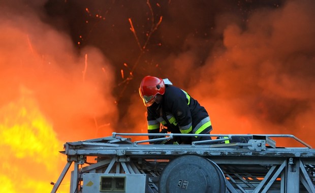 Wielkopolskie: Pożar składu drewna w zakładzie produkującym palety