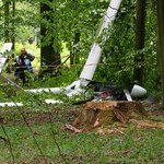 Wielkopolskie: W lesie spadł szybowiec. Za sterami 60-latka