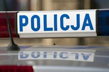 Wielkopolskie: W wypadku ranna siedmioosobowa rodzina