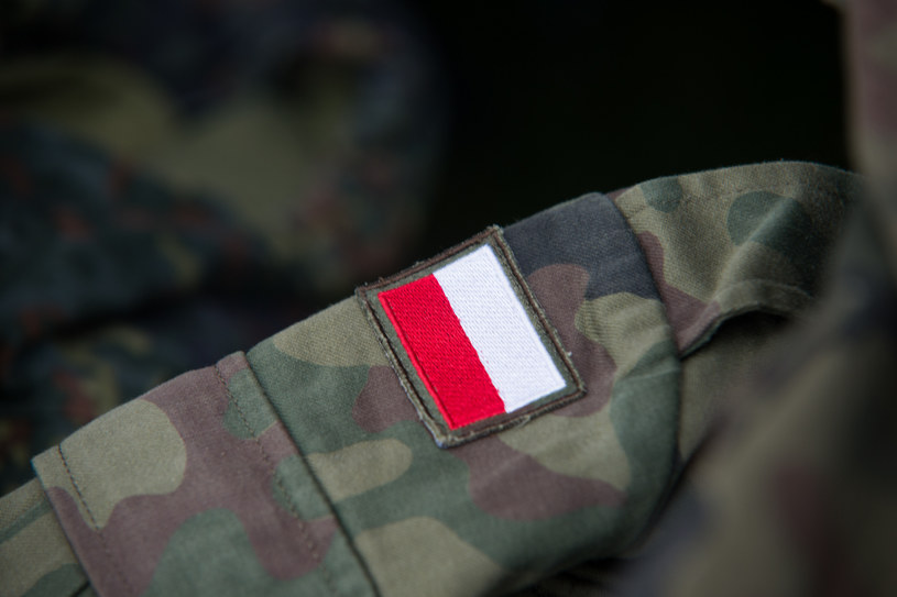 Wielkość Polskiego Legionu Ochotniczego zależy przede wszystkim od liczby odpowiednich rekrutów. W niedalekiej przyszłości ma zostać udostępnniona infolinia dla ochotników w Polsce /123RF/PICSEL