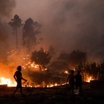 Wielomilionowe straty po pożarach lasów w Portugalii