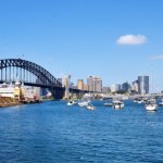 humbak Wieloryb w centrum Sydney. Gigantyczny ssak sparaliżował ruch wodny