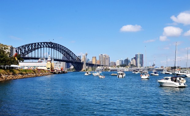 Wieloryb w centrum Sydney. Gigantyczny ssak sparaliżował ruch wodny