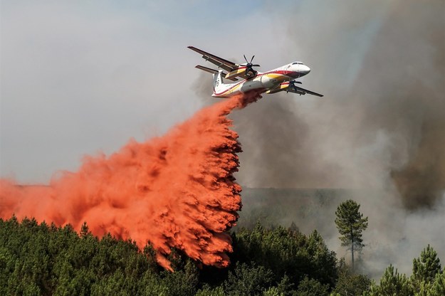 Wielotygodniowa fala upałów utrudniła walkę z pożarami lasów /SDIS33 HANDOUT /PAP/EPA