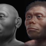 susza Wiemy, co mogło zabić Hobbitów. Jest nowy trop wymarcia najmniejszych ludzi