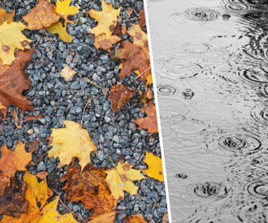 Wiemy, czy będzie padać 1 listopada. Najnowsza prognoza pogody