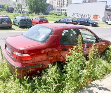 Wiemy ile lat ma twój samochód. Smutne dane z Polski