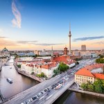 Wiercą dziury w drzewach i wlewają truciznę. Berlin walczy z przestępcami