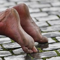 Pielgrzym modlący się na Placu św. Piotra