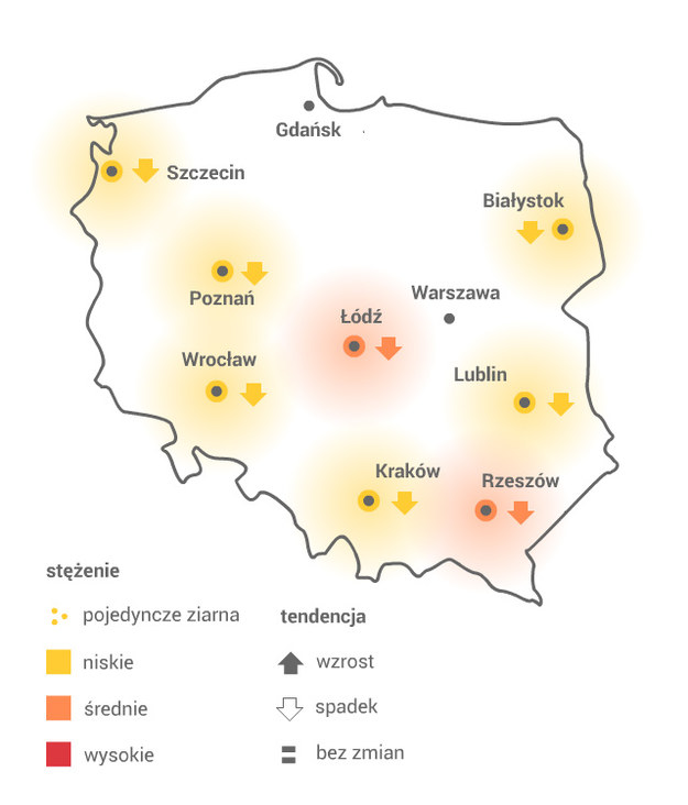 WIERZBA /Grafika RMF FM