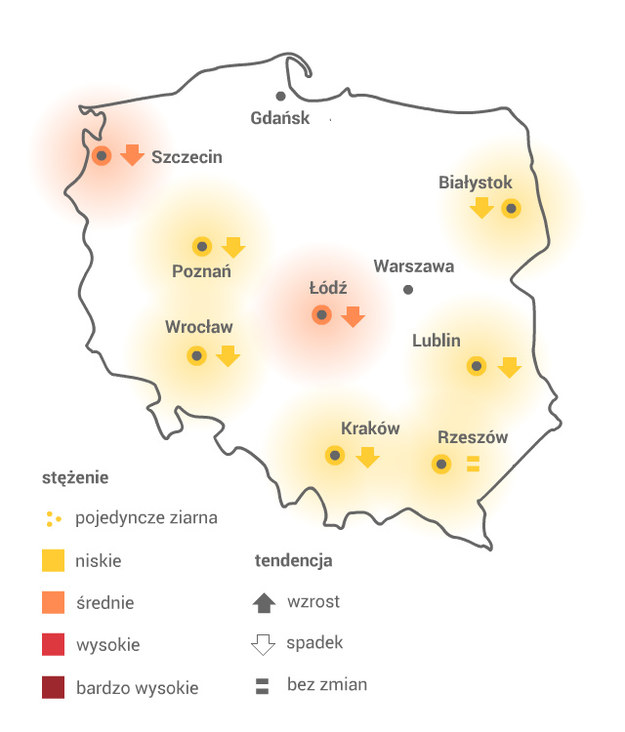 WIERZBA /Grafika RMF FM /