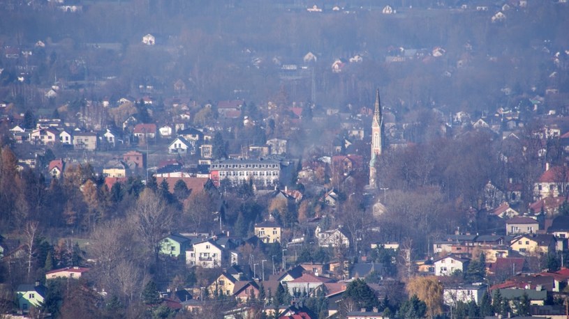 Wieś Kozy to największa wieś w Polsce. /Tabrus /Wikimedia