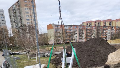 ​Wieża dla jaskółek w nowym parku  