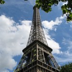 Wieża Eiffla będzie największym drzewem świata