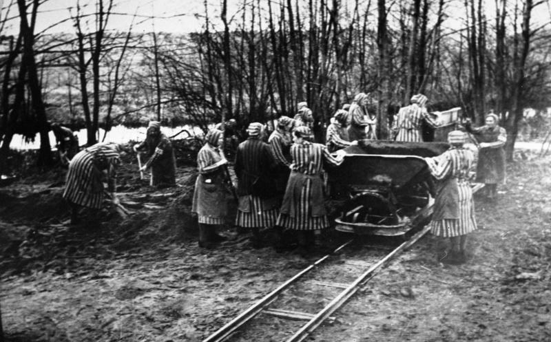 Więźniów obozów czekała 40-dniowa kwarantanna. Już w jej trakcie rozpoczynali morderczą pracę dla dobra Rzeszy /Bundesarchiv /domena publiczna