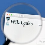 WikiLeaks: Dokumenty Vault7 na temat amerykańskiego cyberwywiadu