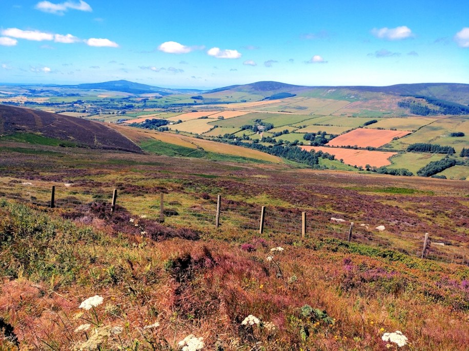 Wikingowie zaczęli osiedlać się na Wyspie Man na początku IX wieku /Shutterstock