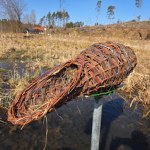 gniazda Wiklinowe kosze w polskich lasach. Wiele pokoleń z nich skorzysta