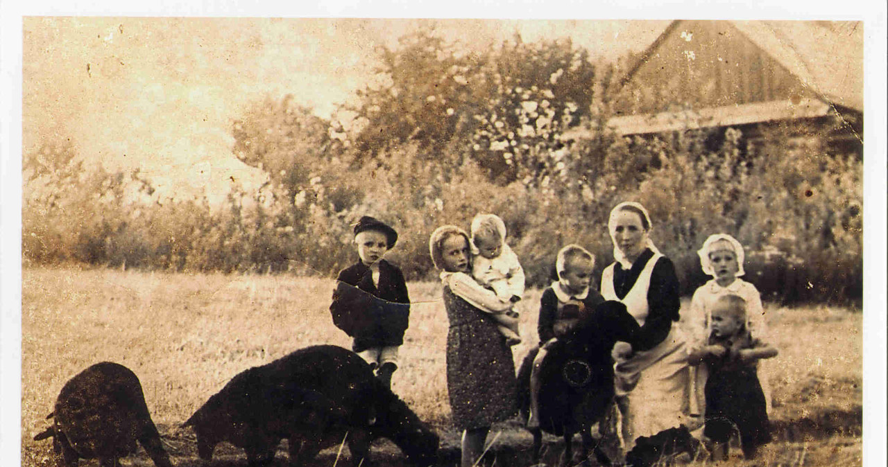 Wiktoria Ulma ze swoimi dziećmi - pół roku przed tragedią. Zdjęcie wykonane przez Józefa Ulmę (z archiwum Mateusza Szpytmy) /Archiwum autora