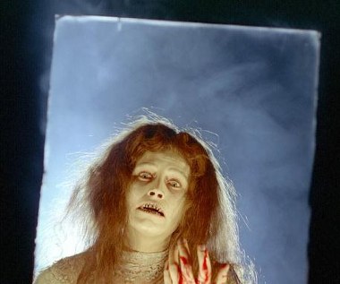 "Wilczyca" (1982) Marka Piestraka przez długi czas uważana była za jeden z najgorszych filmów w historii polskiej kinematografii, sam twórca uznawany był zaś za "polskiego Eda Wooda". W pionierskiej na gruncie polskiej kinematografii próbie wampirycznego horroru Iwona Bielska wcieliła się w dwie role: hrabiny Julii oraz żony głównego bohatera - Maryny, która zmieniła się w wilkołaka.