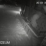 tytuł filmu reż.M.Piestrak